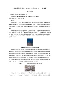 安徽省部分学校2025-2026学年高三上11月月考语文试卷（学生版）