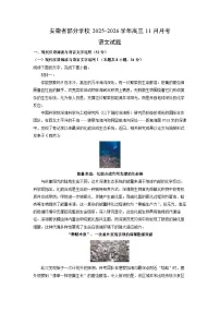 安徽省部分学校2025-2026学年高三上11月月考语文试卷（学生版）