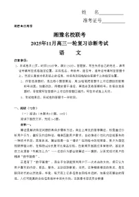 湘豫名校联考2025年高三上学期11月诊断考试语文试题(含答案)