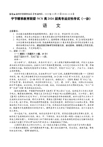 四川省字节精准教育联盟2026届高三上学期一模考试语文试题（含答案）