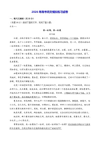 2026年高考语文模拟练习试卷（含答案）