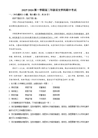 天津市第二十中学2025-2026学年高三上学期期中语文试题(含答案及解析)
