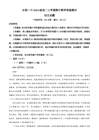 安徽省合肥市一中2025-2026学年高二上学期期中语文试题（含答案）（解析版）
