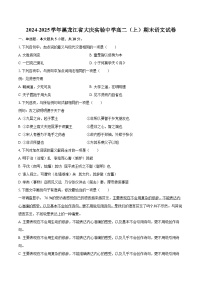 2024-2025学年黑龙江省大庆实验中学高二（上）期末语文试卷-自定义类型