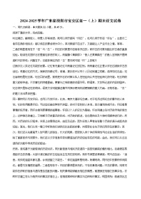 2024-2025学年广东省深圳市宝安区高一（上）期末语文试卷(含相信答案解析)