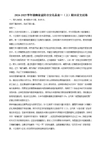 2024-2025学年湖南省益阳市安化县高一（上）期末语文试卷(含相信答案解析)