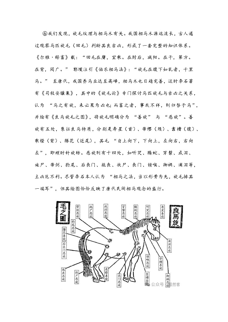 四川省绵阳市2025-2026 学年高三上学期阶段性综合素质测评语文试题及参考答案第3页