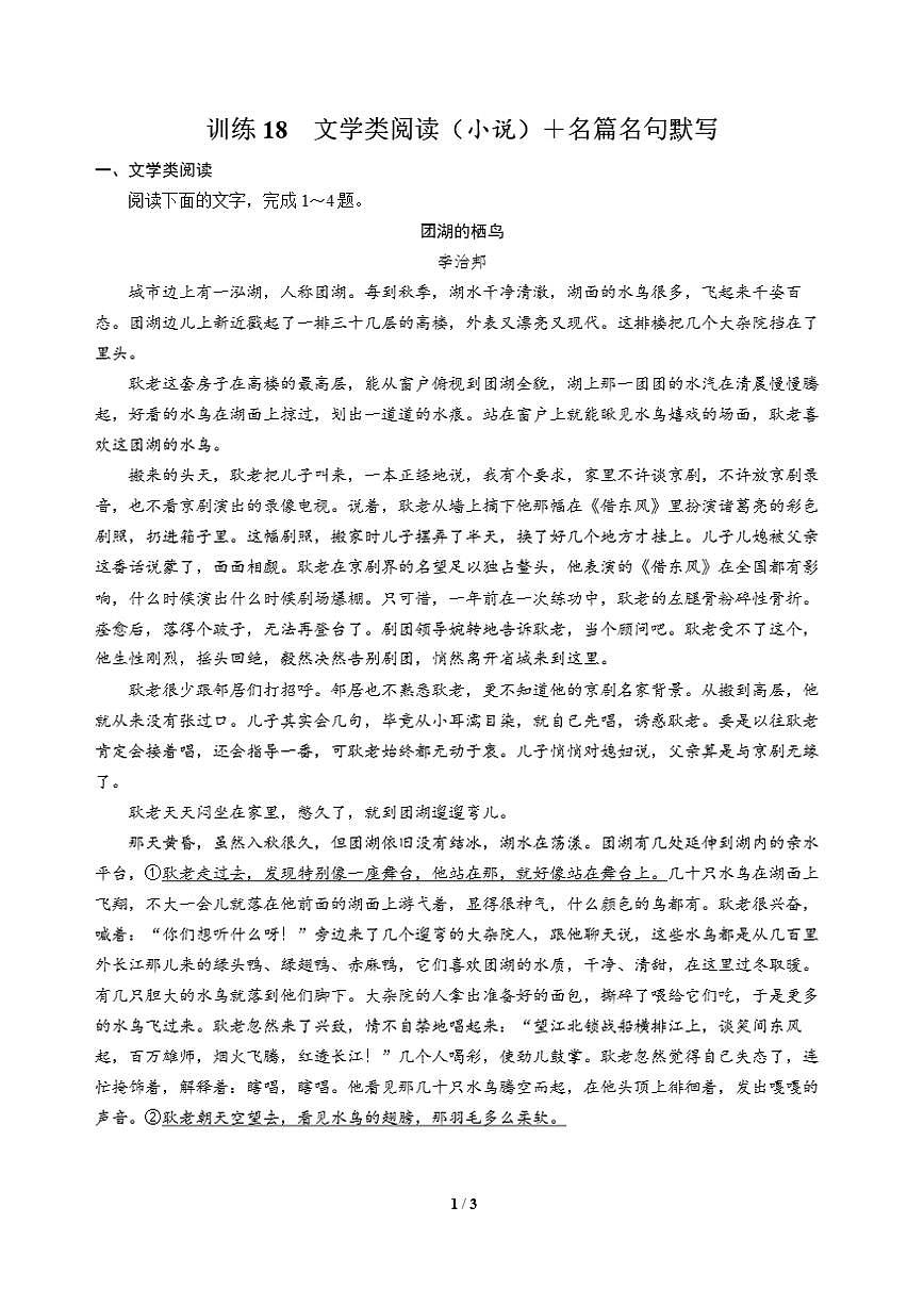 高三语文大二轮专题复习 巩固提升练18 文学类阅读(小说)+名篇名句默写第1页