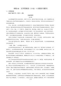 高三语文大二轮专题复习 巩固提升练14 文学类阅读（小说）＋名篇名句默写
