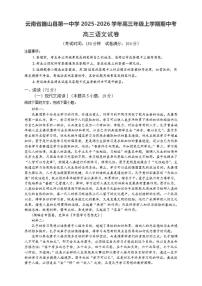 云南省大理州巍山县第一中学2025-2026学年高三上学期期中考试语文试卷（含答案）