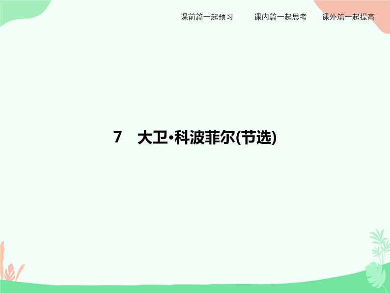 7 大卫 科波菲尔(节选) PPT课件第4页