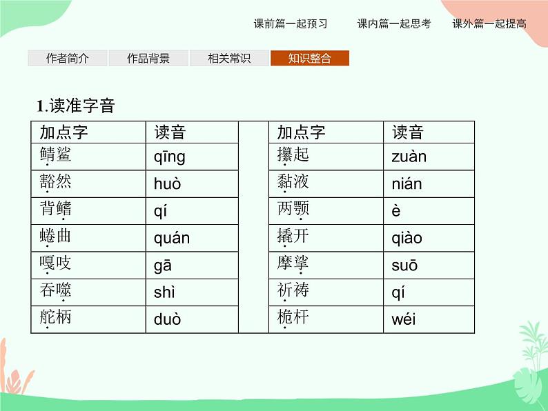 9 老人与海(节选) PPT课件08