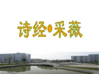 2020年人教版语文高一下学期必修二第二单元第四课《诗经两首：采薇》课件