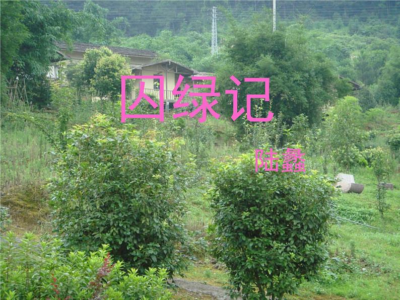 人教版高一语文必修2课件:第3课 囚绿记1后一部分01