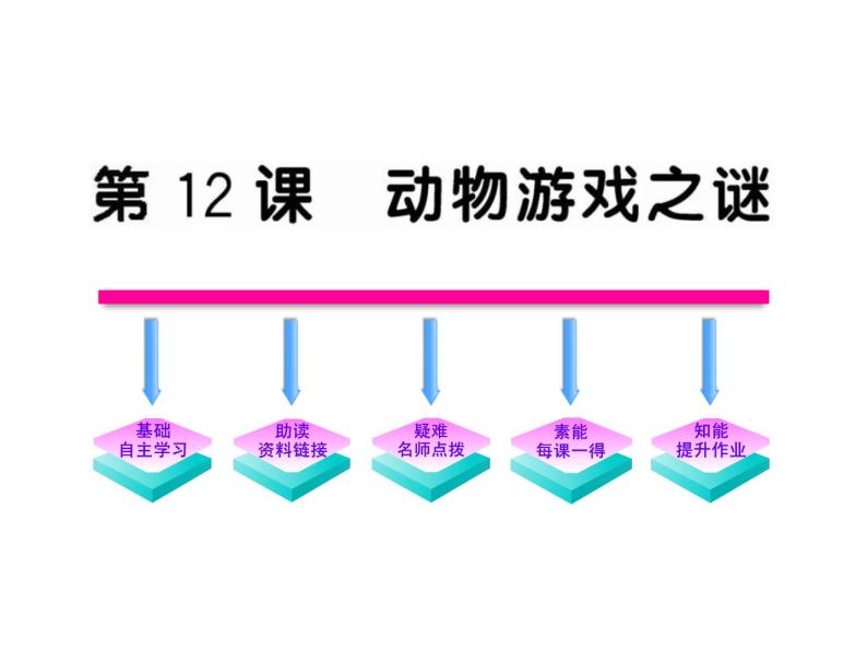 3第12课《动物游戏之谜》（人教版） 课件01