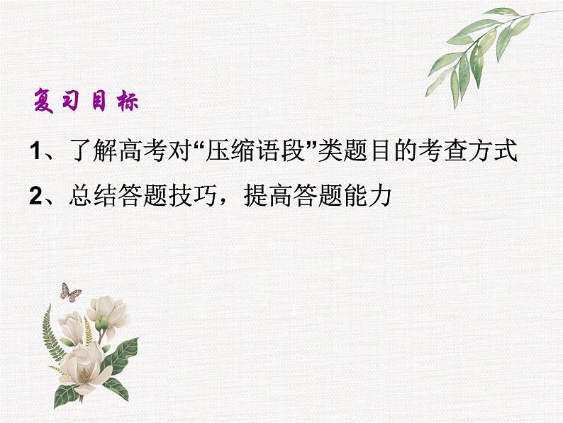 2020年高考压缩语段专题指导与训练 课件(82张ppt)04