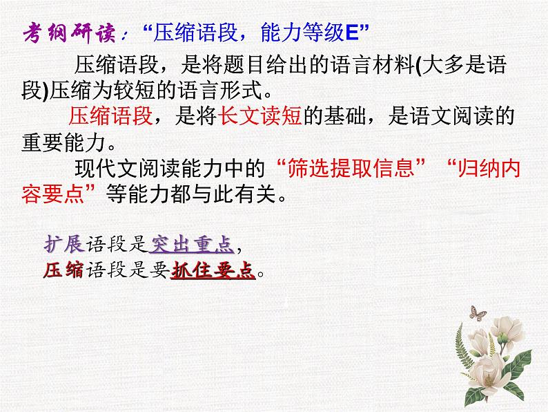 2020年高考压缩语段专题指导与训练 课件(82张ppt)05