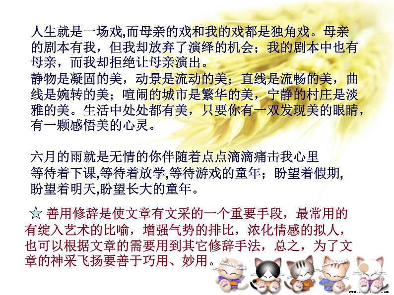 学习写得有文采 课件04