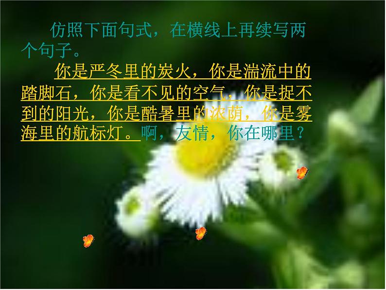 学习写得有文采 课件05