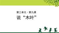 语文必修五9 说“木叶”优质示范课课件ppt