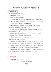 高中语文北师大版必修四13 风雨纵横好题诗——寄语学理工的青年同步达标检测题