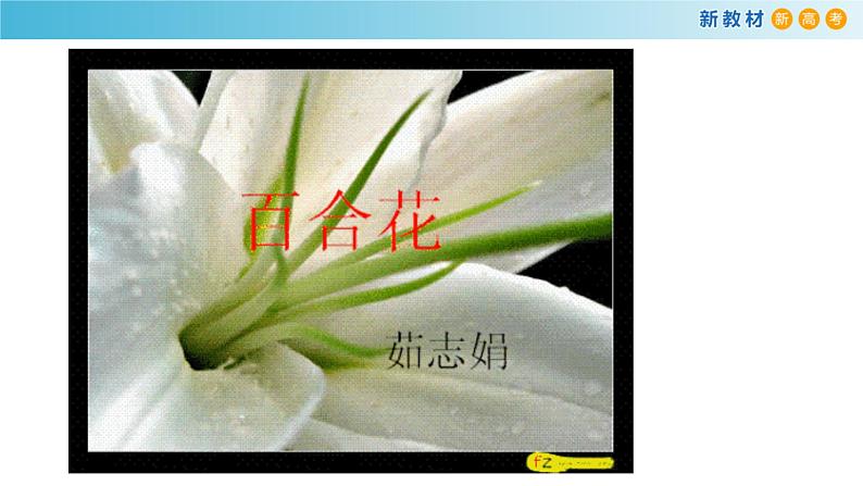 1.3.1 百合花 茹志娟 课件08