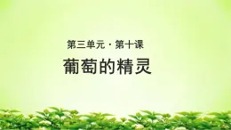 《葡萄的精灵》示范课教学PPT课件（高中语文北师大版必修1）