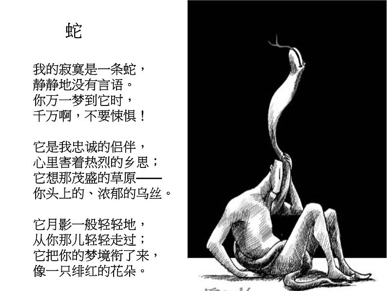 高中语文人教选修《中国现代诗歌散文欣赏》课件:诗歌部分 第三单元 爱的心语--蛇(共12张PPT)04