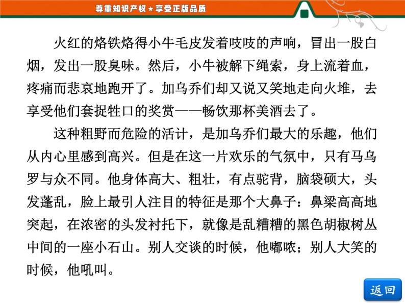 人教版高中语文选修《外国小说欣赏》第四单元   小说鉴赏方略之四 课件07