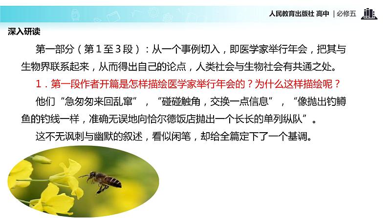 【教学课件】《作为生物的社会》(语文人教版必修5)05