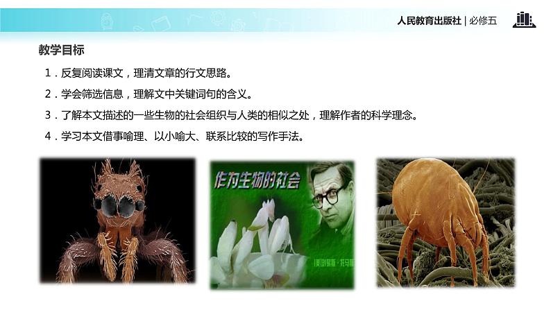 【教学课件】《作为生物的社会》(人教)03
