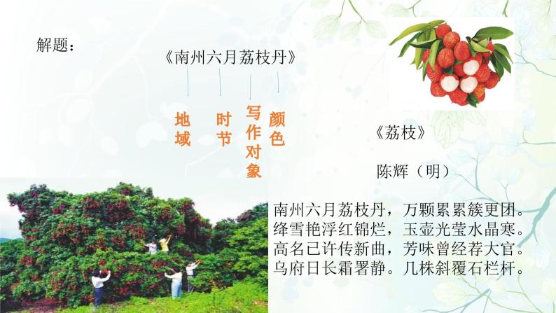 高中语文苏教版必修五南州六月荔枝丹教学课件ppt