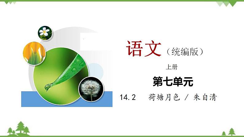 第七单元 14.2《荷塘月色》(课件)01