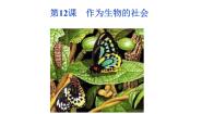 高中语文人教版 (新课标)必修五12 作为生物的社会教案配套ppt课件