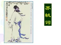 高中语文人教版 (新课标) 必修四第二单元 5.定风波1 课件