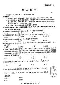 2020-2021学年山东省潍坊市高二上学期期末考试数学试题 PDF版