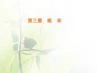 高中数学人教B版必修33.4概率的应用课件（39张）