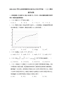 2020-2021学年云南省昭通市水富市云天化中学高一（上）期末数学试卷