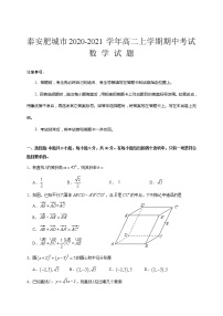 2020-2021学年山东省泰安肥城市高二上学期期中考试数学试题 Word版