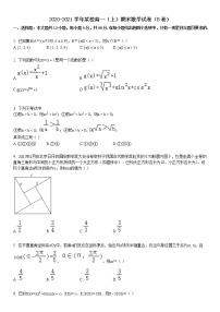 2020-2021学年高一(上)期末数学试卷(B卷)