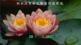 人教版新课标B必修13.1.2指数函数教学课件ppt