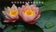 人教版新课标B必修13.1.2指数函数教课内容课件ppt