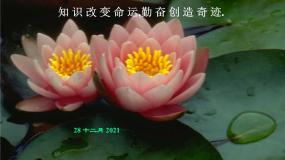 人教版新课标B必修13.1.2指数函数教课内容课件ppt