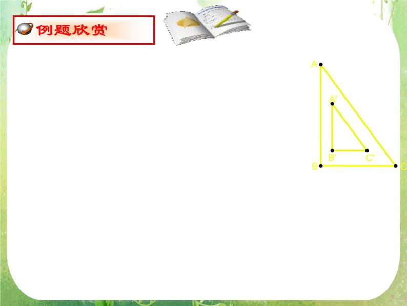 数学：《相似三角形的判定》课件三（新人教A版选修4-1）05