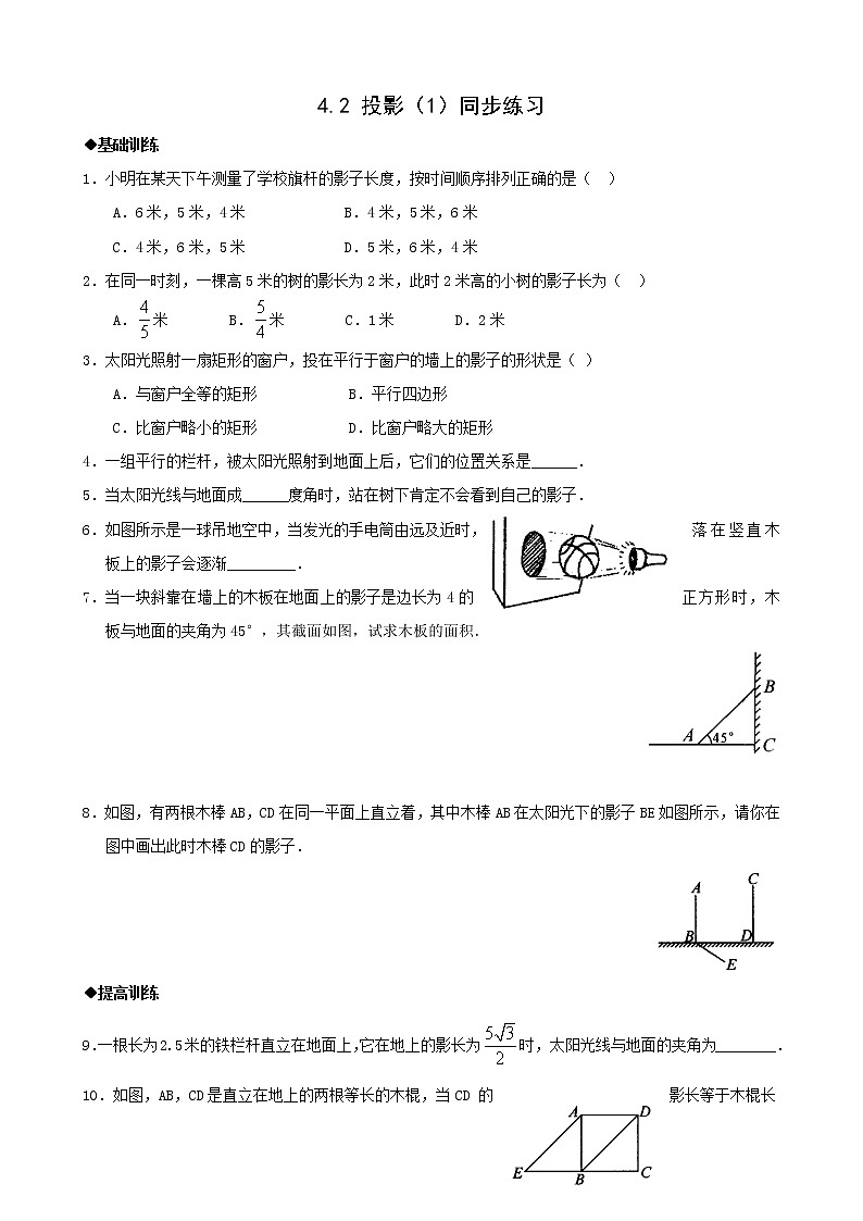 浙教版九年级下4.2投影(1)同步练习101