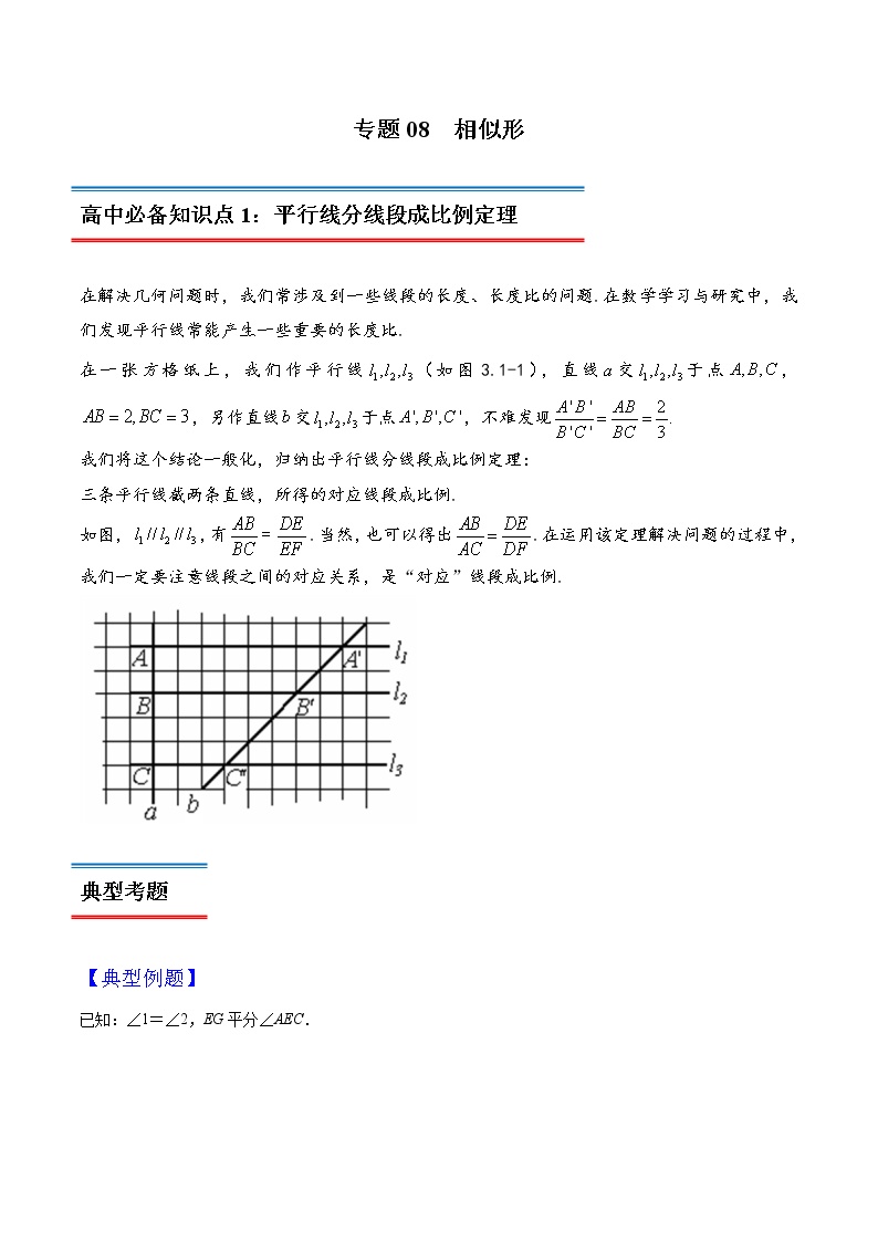 专题08 相似形-初升高数学衔接必备教材（解析版）