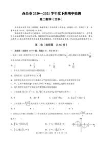 2020-2021学年四川省西昌市高二下学期期中检测数学（文）试题PDF版含答案