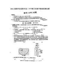 2021陜西省咸陽(yáng)市高三下學(xué)期文科數(shù)學(xué)模擬檢測(cè)試題
