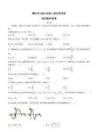 2022届江西省赣州市高三下学期5月适应性考试（二模）数学（理）试题（PDF版）