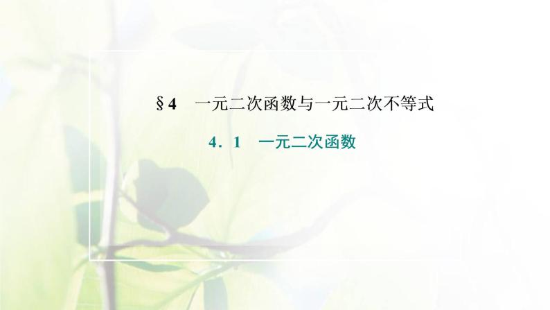 北师大版高中数学必修第一册第一章预备知识4.1一元二次函数课件02